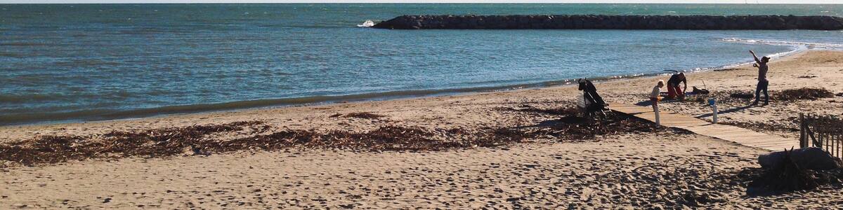 Photo "Processed with VSCOcam with k2 preset" by Alexander Baranov (Creative Commons Attribution 2.0) / Cropped from original