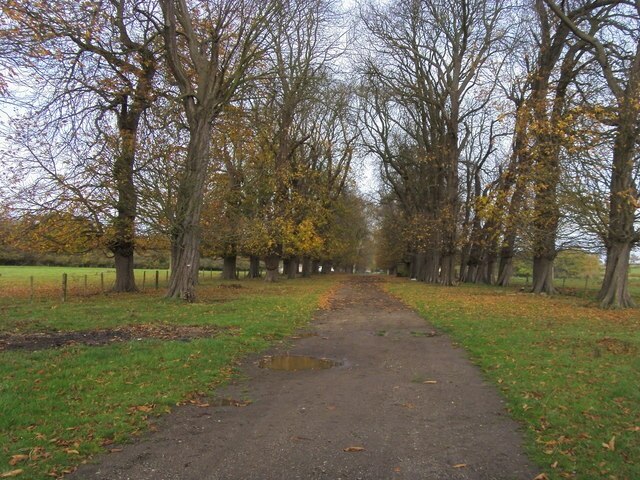 Photo "Woodham" by Shaun Ferguson (CC BY-SA) / Cropped from original