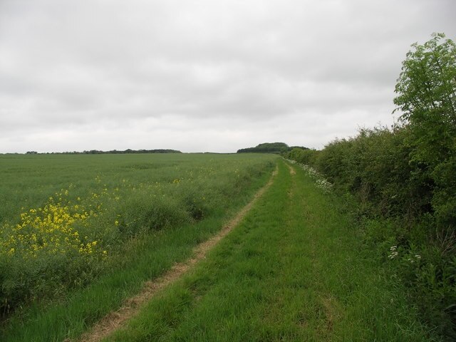 Foto „Lamport“ von Richard Williams (CC BY-SA)/zugeschnittenes Original