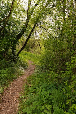 Auf dem Wanderweg im Naturschutzgebiet „Kinzigaue bei Gelnhause“