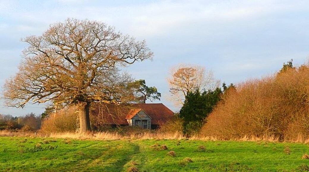 Photo "Sherfield On Loddon" by Graham Horn (CC BY-SA) / Cropped from original