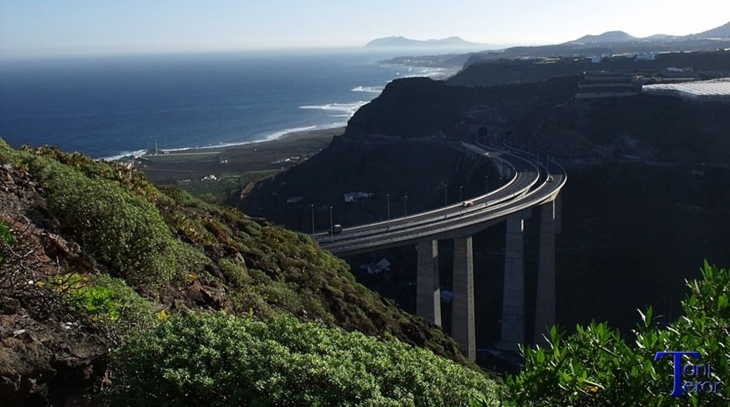 照片“大加那利岛圣玛丽亚德吉亚” 拍摄者：Toni Teror（CC BY）原片经过裁剪