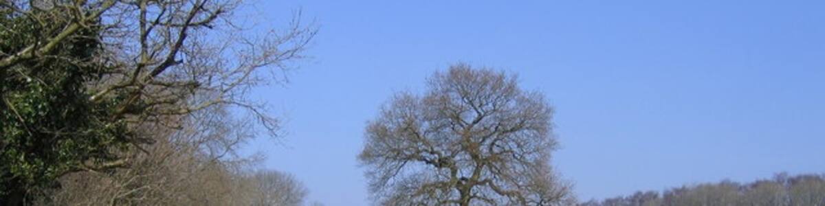 Photo "Monarch's Way Path Approaching Twiland Wood" by Roy Hughes (Creative Commons Attribution-Share Alike 2.0) / Cropped from original
