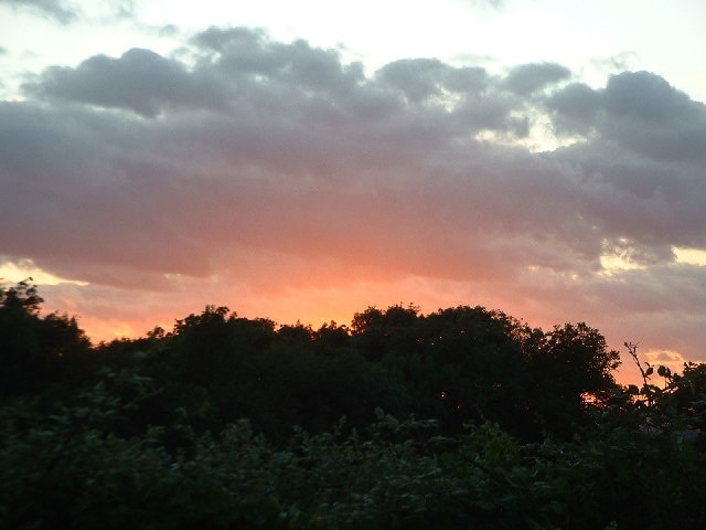 Sunset over woodland to the North-West of Collendean Lane. * accepted as a supplemental image for use as an example in the guide.