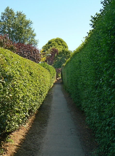 Footpath to The Strand Running down from Shady Lane. This may well be an old alignment incorporated in later development.