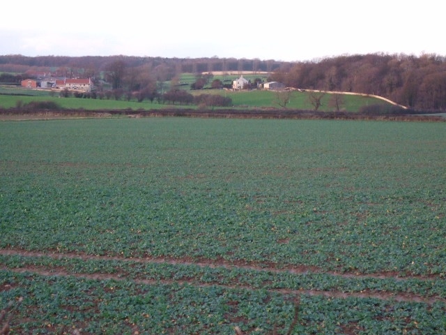 Across to Thwaite House From the church path looking across to Thwaite House farms.