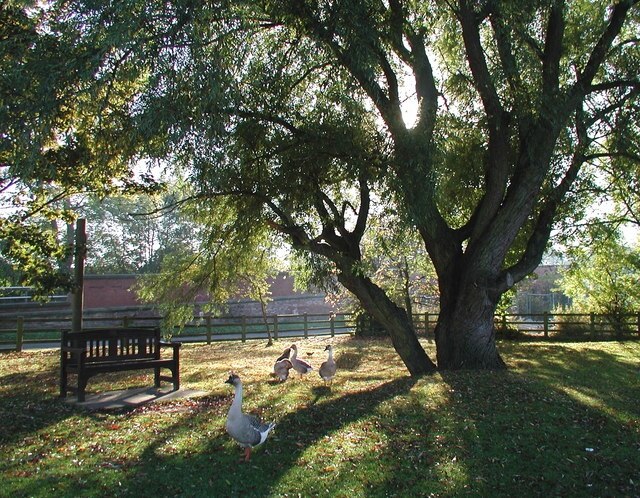 Foto “Gilberdyke” tomada por Paul Glazzard (CC BY-SA); recorte de la original