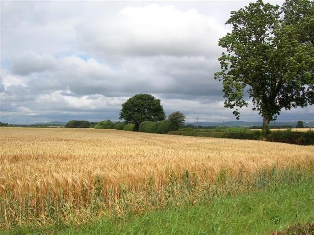 "Eldmire with Crakehill"-foto av DS Pugh (CC BY-SA) / Urklipp från original