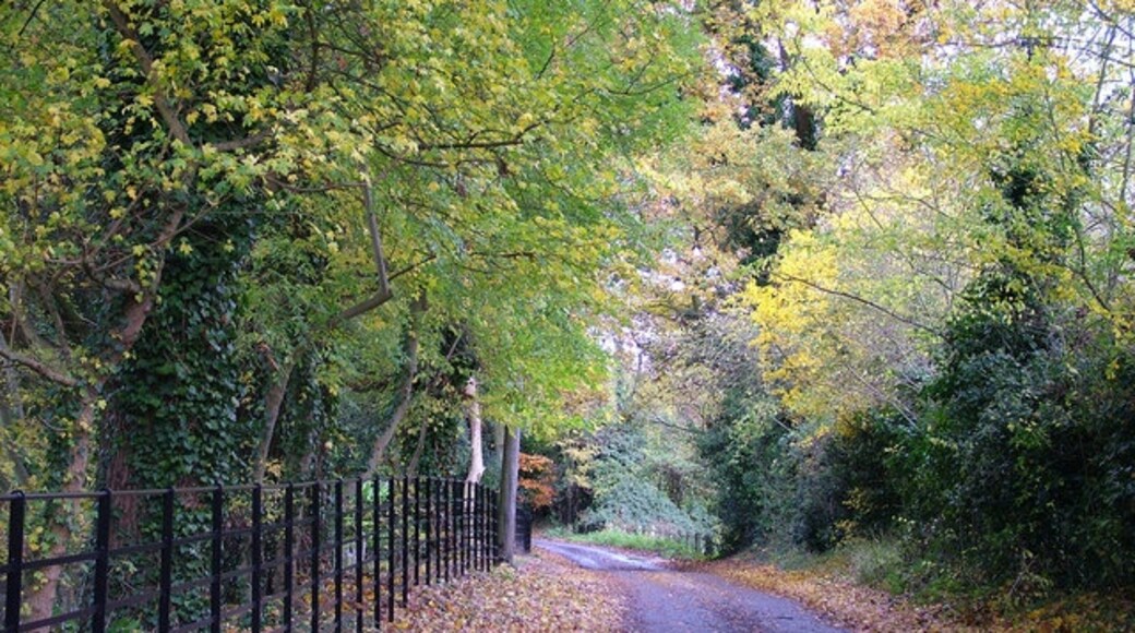 Foto "Knodishall" por John Goldsmith (CC BY-SA) / Recortada de la original