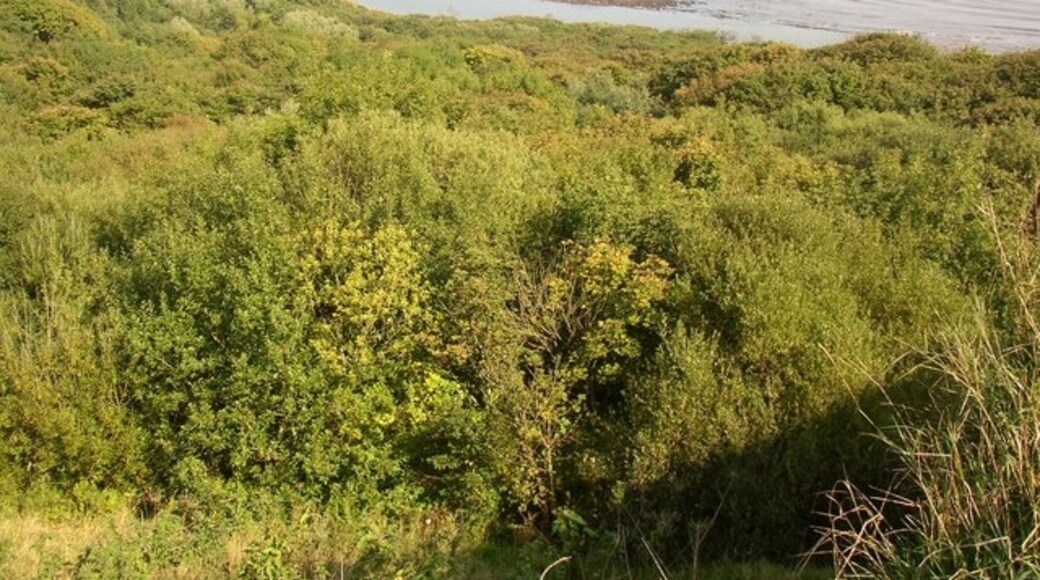 "Osgodby"-foto av Humphrey Bolton (CC BY-SA) / Urklipp från original