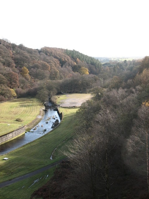 Foto "Thruscross" di Gordon Hatton (CC BY-SA) / Ritaglio dell’originale