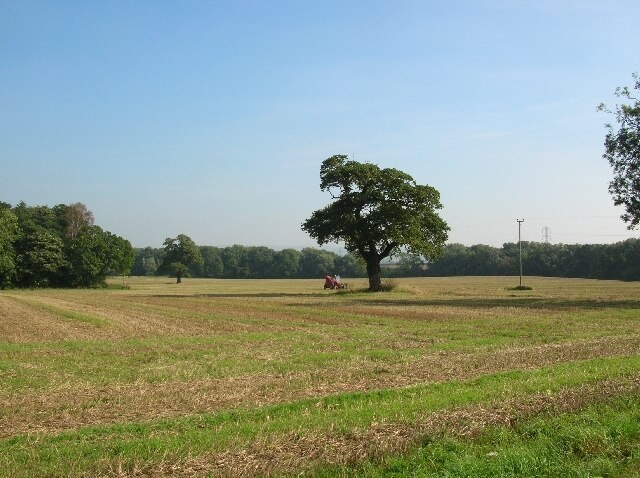 Photo "Harton" by DS Pugh (CC BY-SA) / Cropped from original