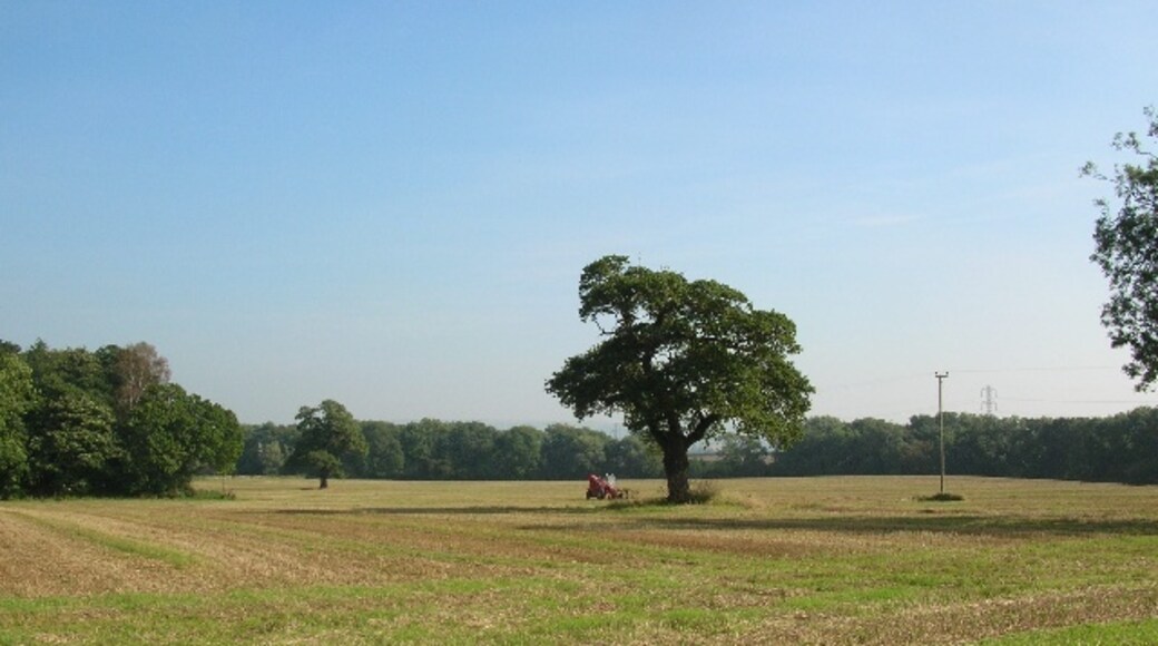 Photo "Harton" by DS Pugh (CC BY-SA) / Cropped from original