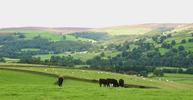 Billede "Bewerley" af Gordon Hatton (CC BY-SA) / beskåret fra det originale billede