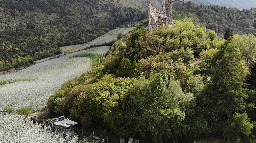 « Morter», photo de Parpan05 (CC BY-SA) / rognée de l’originale