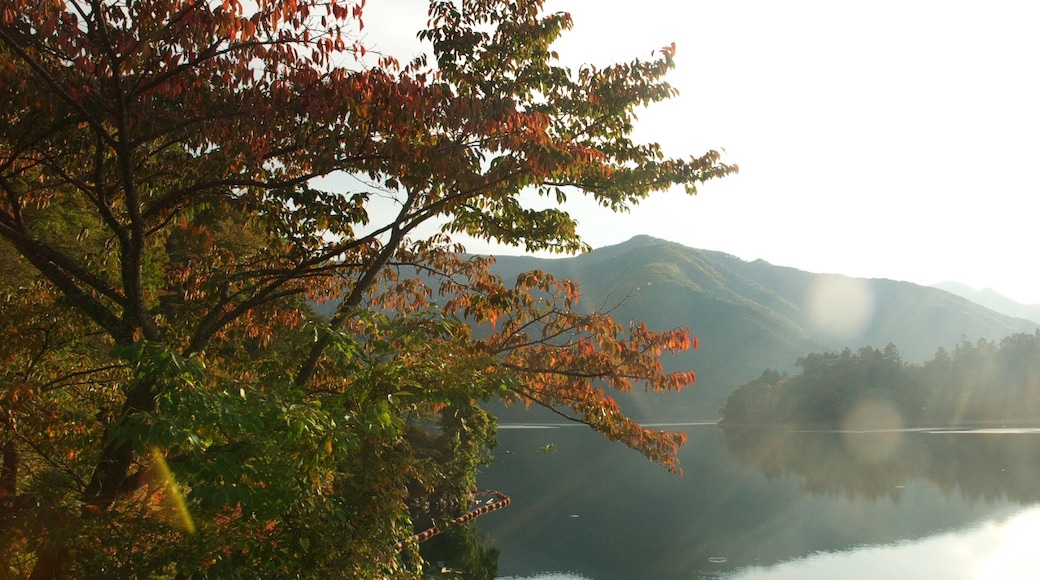 Foto "Lake Okutama" por Yamaguchi Yoshiaki (CC BY-SA) / Recortada de la original
