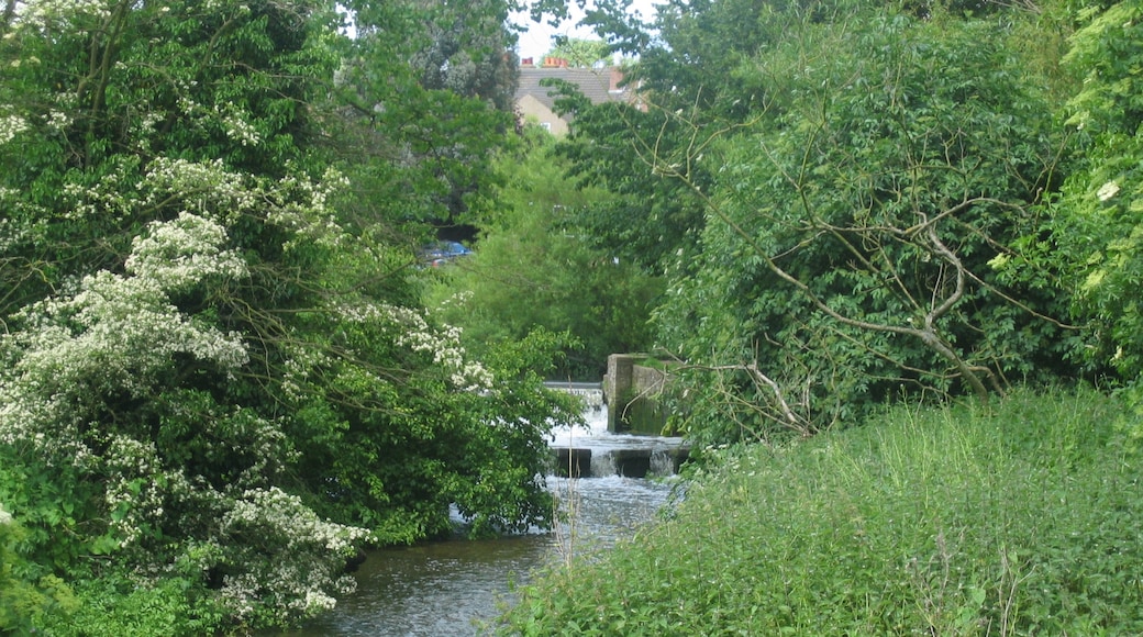 River Lea at Batford, Harpenden. Here it has been split into multiple channels and this one has an artifical rapids.