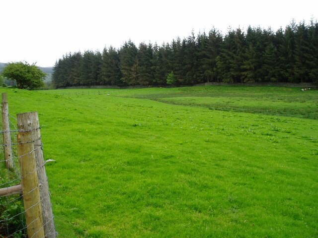 Field and Forest. A field in the Cynwyd Forest, south of Corwen.