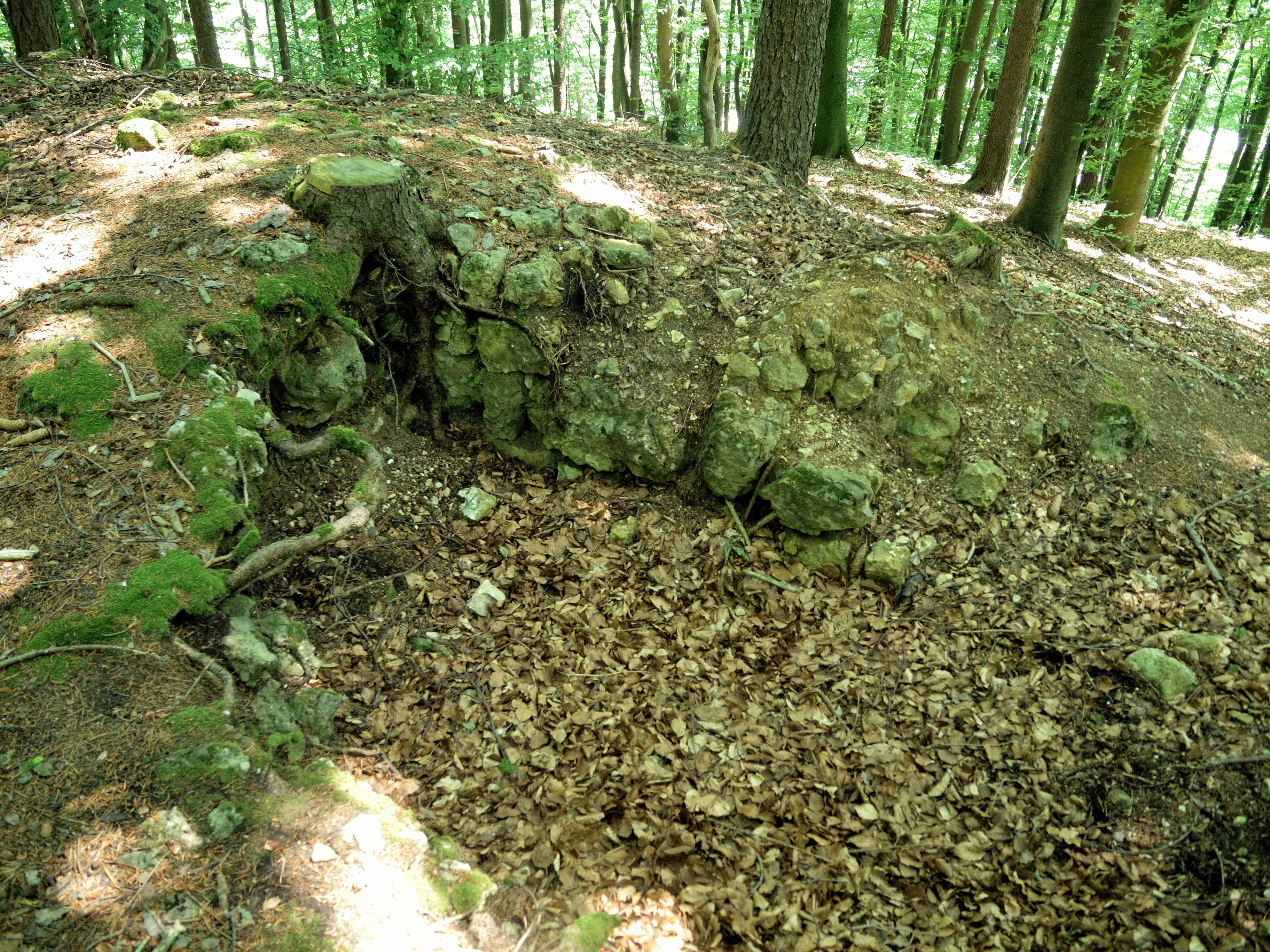 Neukirchen bei Sulzbach-Rosenberg