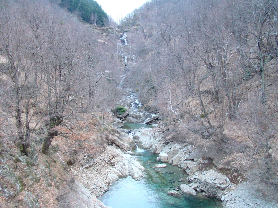 17.02.2009