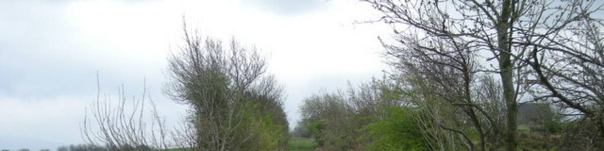 Photo "It's a muddy track today" by Row17 (Creative Commons Attribution-Share Alike 2.0) / Cropped from original