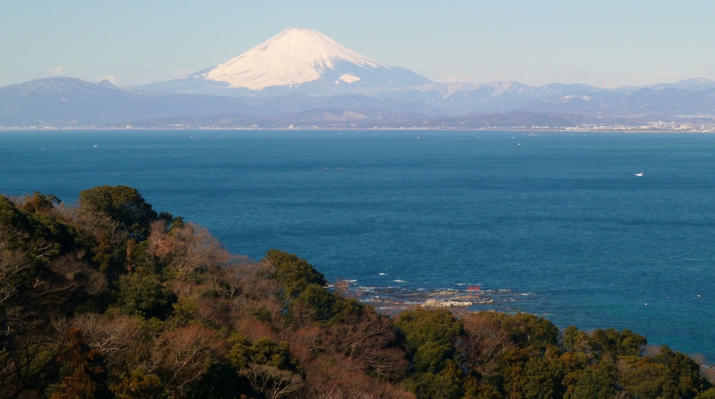 Hayama