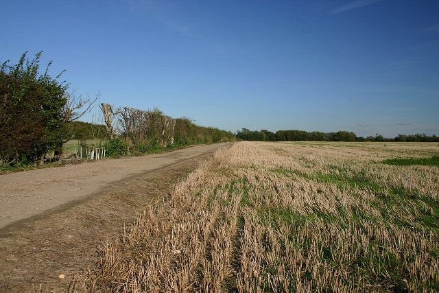 Foto „Newton“ von Bob Jones (CC BY-SA)/zugeschnittenes Original