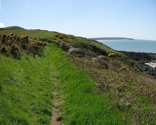 Coast Path. Looking south along the Pembrokeshire coast path. The headland on the horizon is the Angle peninsula.