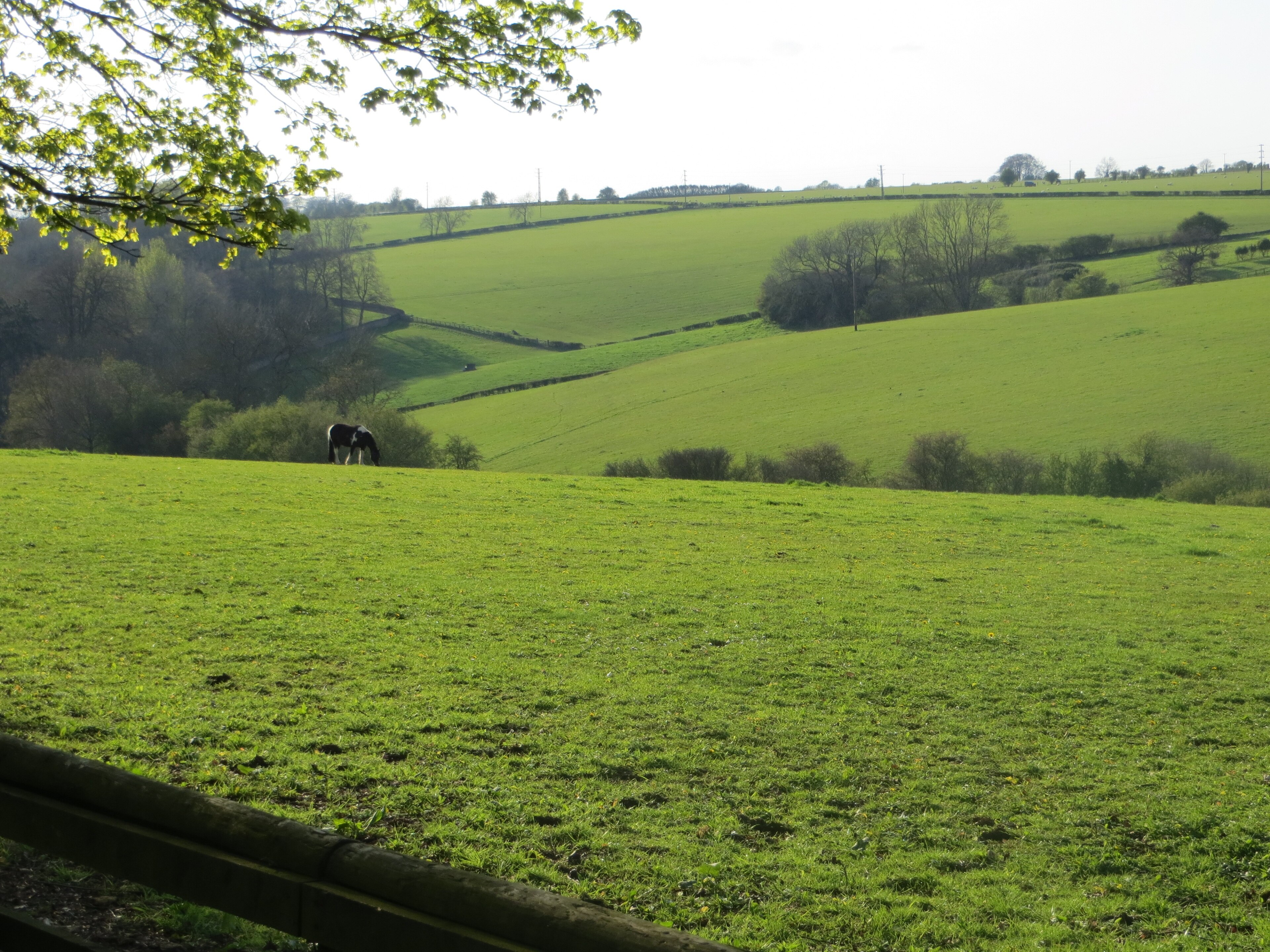 Kuva ”Sarsden” käyttäjältä Forester2009 (CC BY-SA) / rajattu alkuperäisestä kuvasta