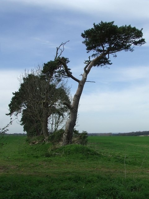 Foto „Narford“ von Keith Evans (CC BY-SA)/zugeschnittenes Original