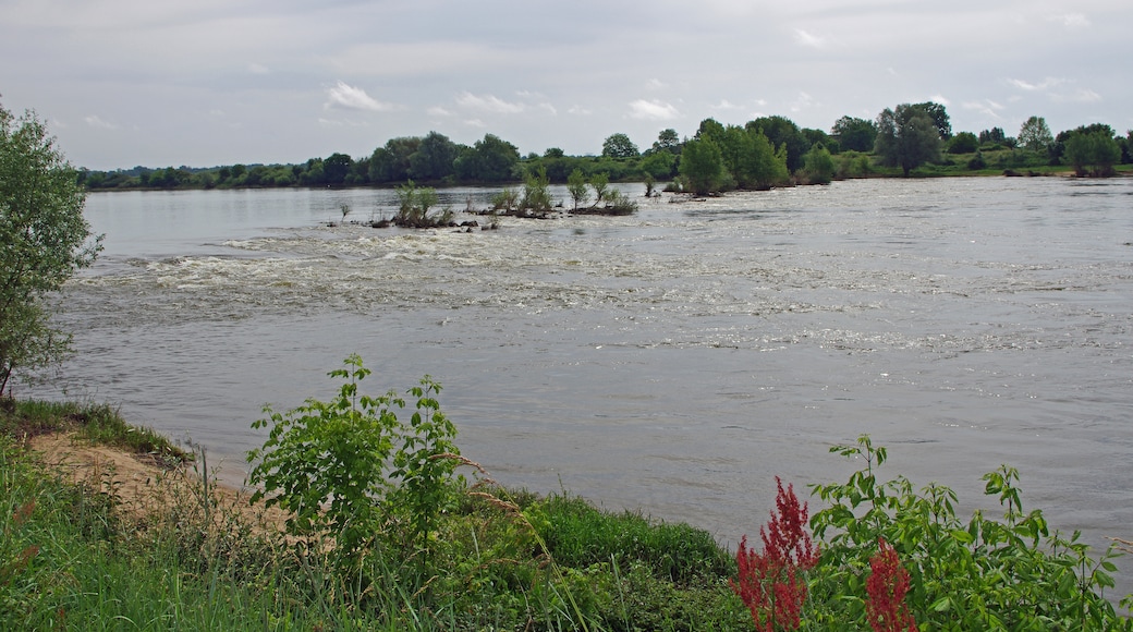 Photo "Meung-sur-Loire" by Daniel Jolivet (CC BY) / Cropped from original