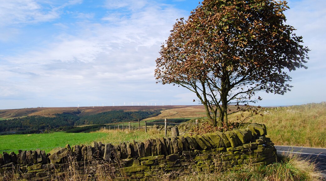 Photo "Denholme" by Tim Green (CC BY) / Cropped from original