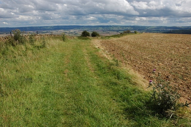 Foto “Elmley Castle” tomada por Philip Halling (CC BY-SA); recorte de la original