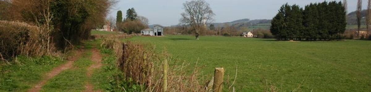 Photo "Track to the south of Peterchurch A bridleway follows this track and the Herefordshire Way crosses diagonally the field in the right." by Philip Halling (Creative Commons Attribution-Share Alike 2.0) / Cropped from original