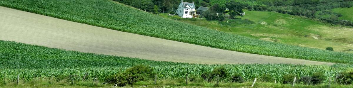 Photo "Wales" by Tanya Dedyukhina (Creative Commons Attribution 3.0) / Cropped from original