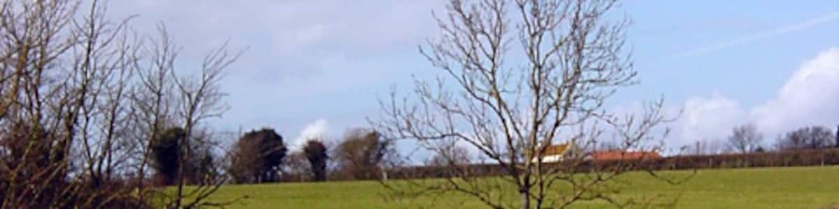 Photo "Court Farm, Banwell. Used to be a dairy farm, now they farm a couple of specialist breeds and run a farm open to children." by Linda Bailey (Creative Commons Attribution-Share Alike 2.0) / Cropped from original