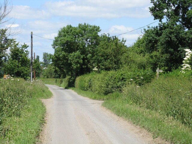 Photo "Holdfast" by Whatlep (CC BY-SA) / Cropped from original