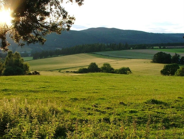 Fields near Dores. Fields near Dores now used for the Rockness event each June.