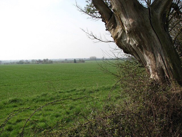 Photo "Morley" by Evelyn Simak (CC BY-SA) / Cropped from original