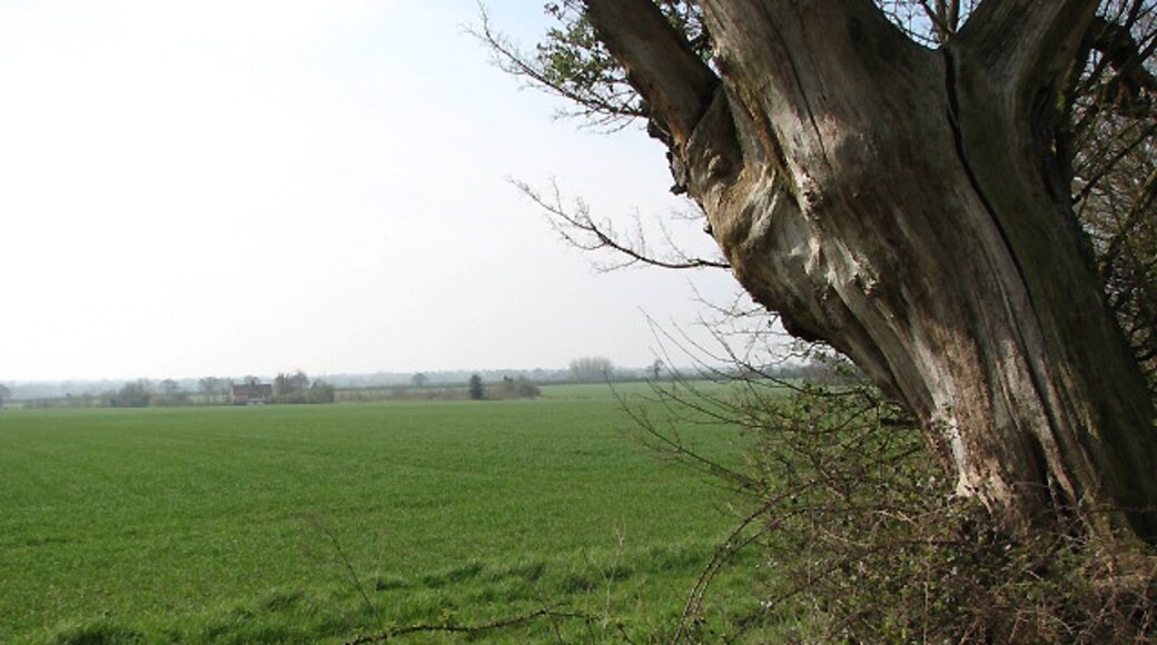 Billede "Morley" af Evelyn Simak (CC BY-SA) / beskåret fra det originale billede