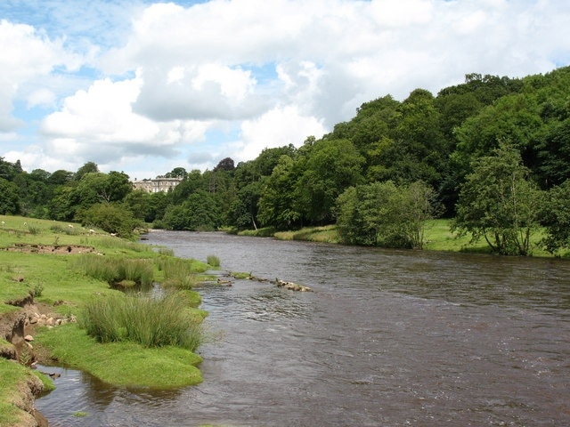 A sylvan stretch of the Ure The Ure is a beautiful river and its upper reaches through Wensleydale are well known. Lower down its course between Jervaulx and Ripon, it becomes more secretive and is not easily seen except by those willing to walk its banks. This view looks north towards Clifton Castle, high on the opposite bank.