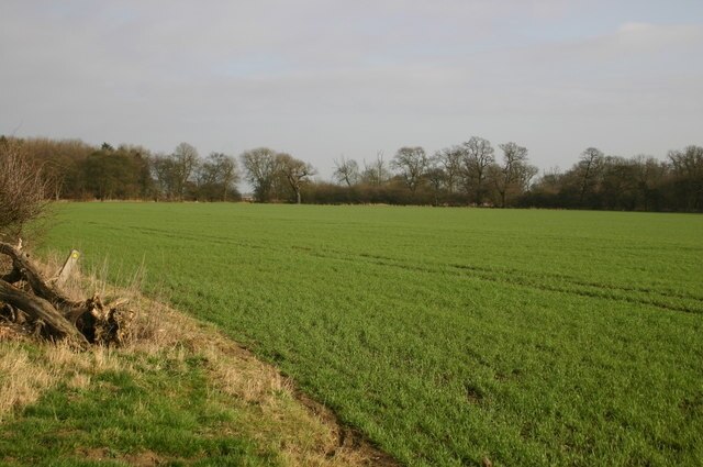 Foto “Alconbury Weston” tomada por Shaun Ferguson (CC BY-SA); recorte de la original