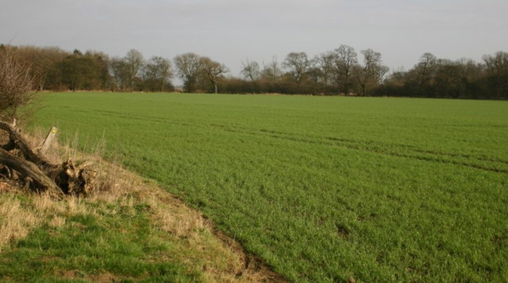 Photo "Alconbury Weston" by Shaun Ferguson (CC BY-SA) / Cropped from original