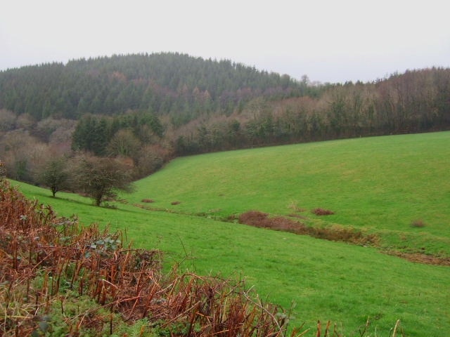 Morwell Wood Morwell wood and countryside.