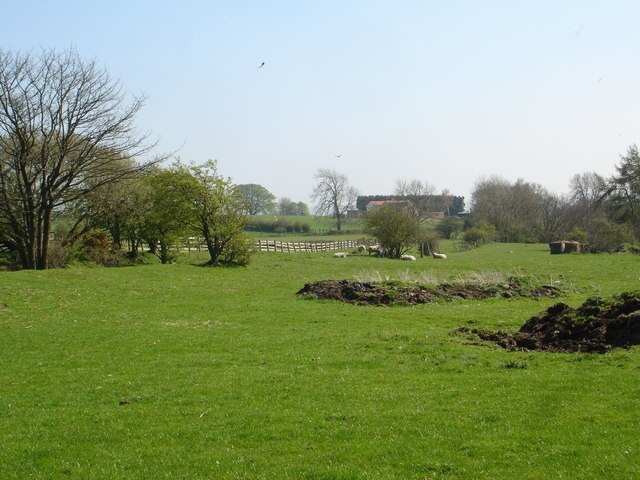 Photo "Marwood" by Andy Waddington (CC BY-SA) / Cropped from original