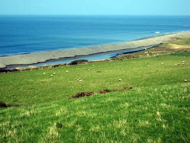 Kinnegar Beach Shingle beach and enclosed lagoon on the south side of the mouth of the River Stinchar. In the summer, this is an important breeding site for little terns.