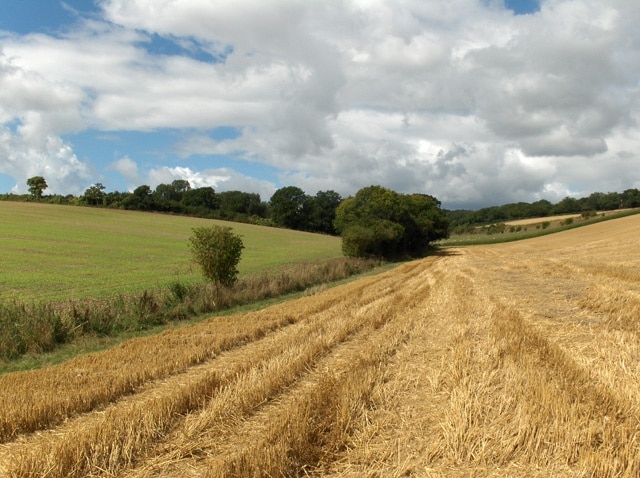 Farmland, approaching Dore's Farm. A footpath proceeds along the hedgerow up to Dore's Farm which is just a derelict barn and shed.