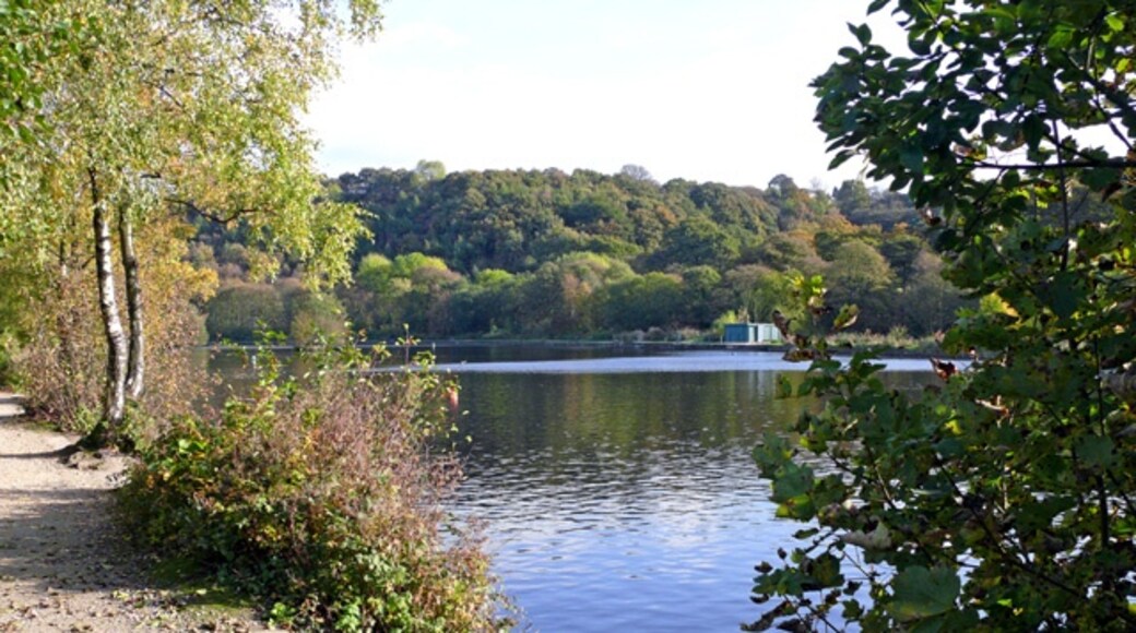 Photo "Etherow Country Park" by Bob Abell (CC BY-SA) / Cropped from original