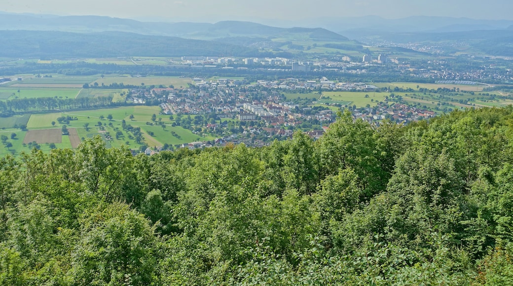 Foto "Rheinfelden" de PantaRhei (CC BY-SA) / Recortada de la original