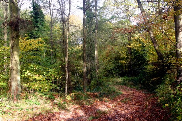 "Milson"-foto av Edward Shirley (CC BY-SA) / Urklipp från original